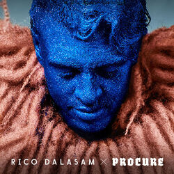 Cover of Procure