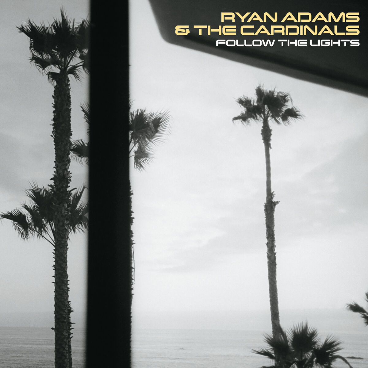Album cover of If I Am A Stranger