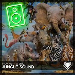 Cover of Jungle Sound