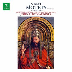 Cover of Bach: Motets, BWV 225 - 231, Cantatas, BWV 50 & 118