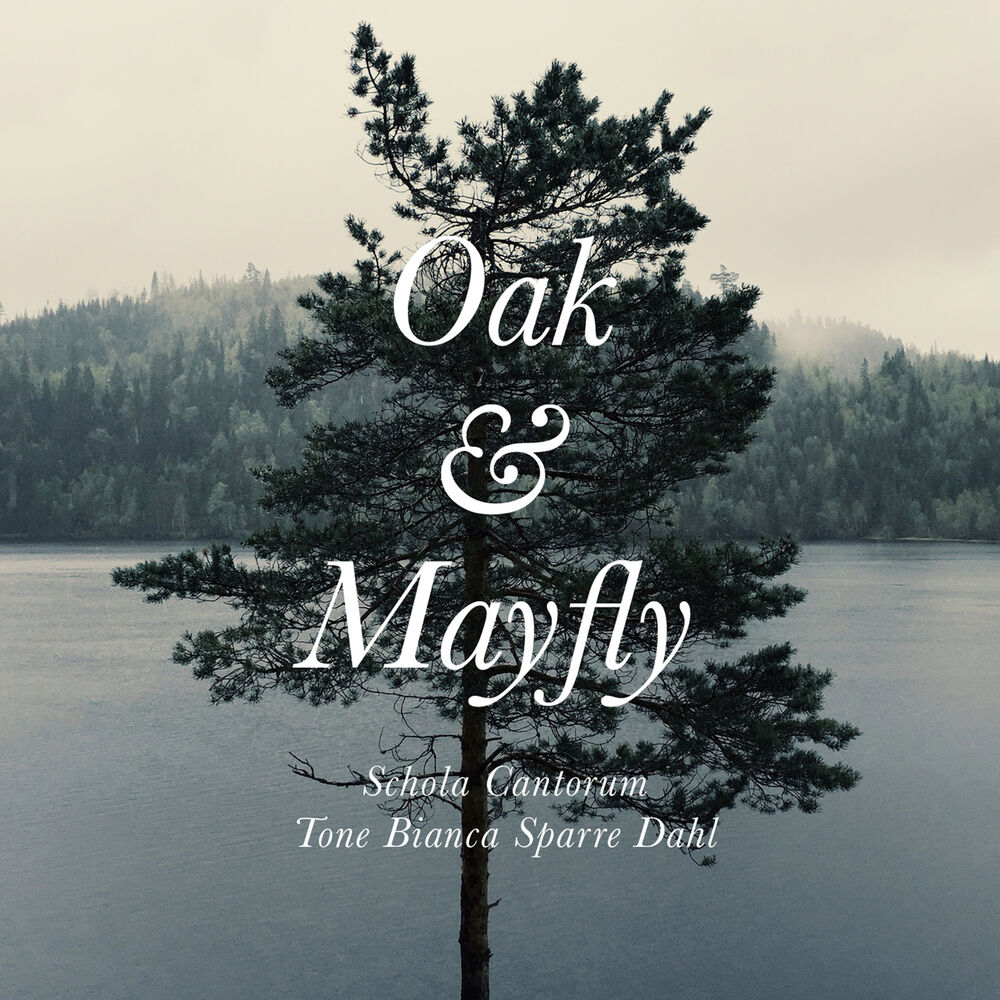 Picture of Bjørn Morten Christophersen: Oak & Mayfly