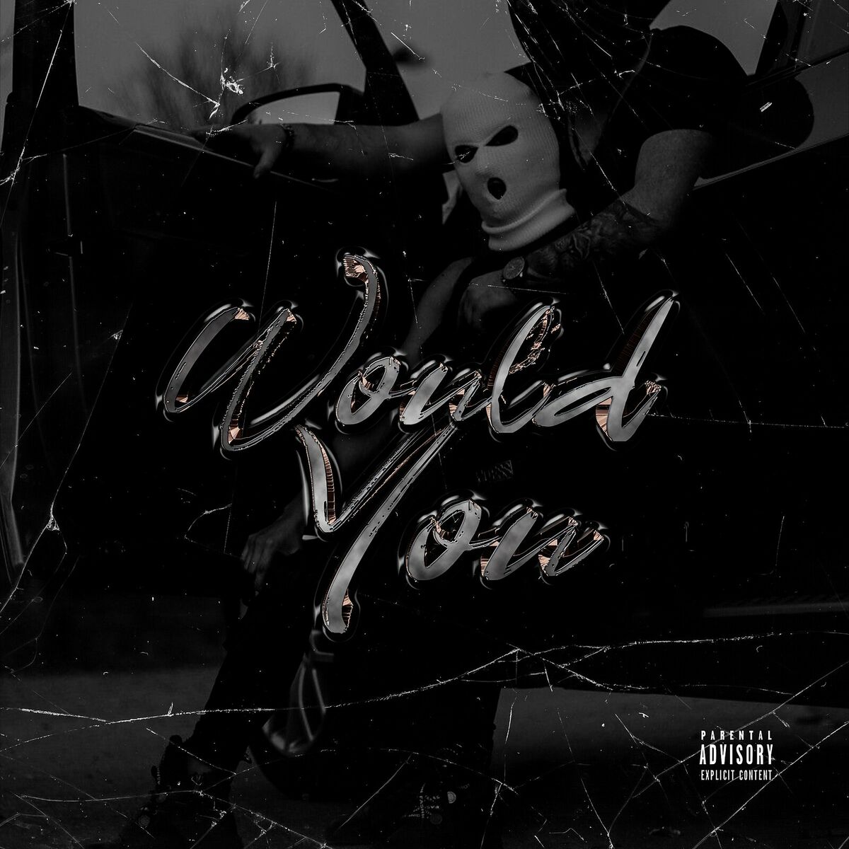 Album cover of Would You