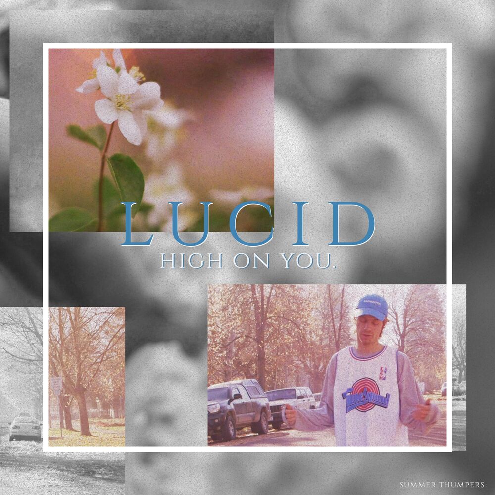 Picture of Lucid