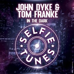 Cover of In the Dark