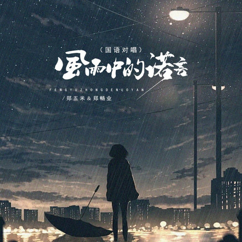 风雨中的诺言 (国语对唱)
