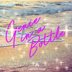 Cover of Genie in a Bottle