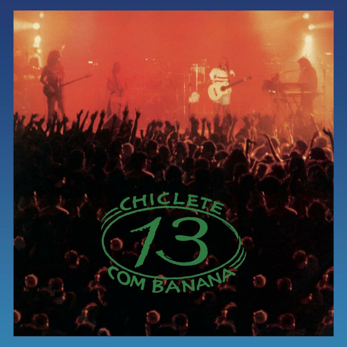 Album cover of 13