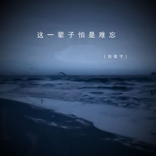 这一辈子怕是难忘