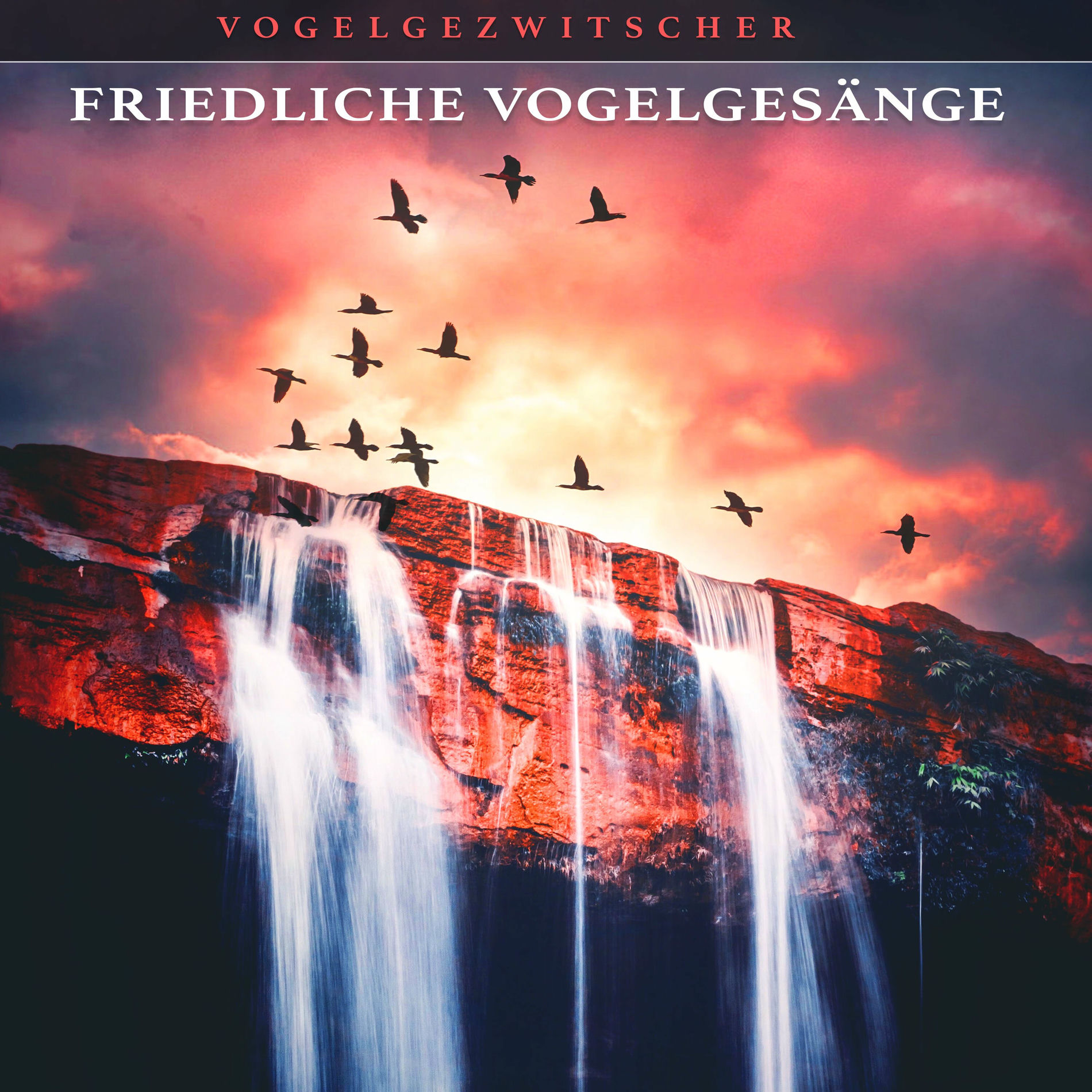 Album cover of Friedliche Vogelgesänge