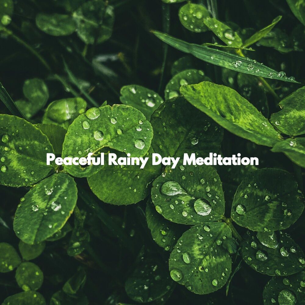 Picture of Peaceful Rainy Day Meditation