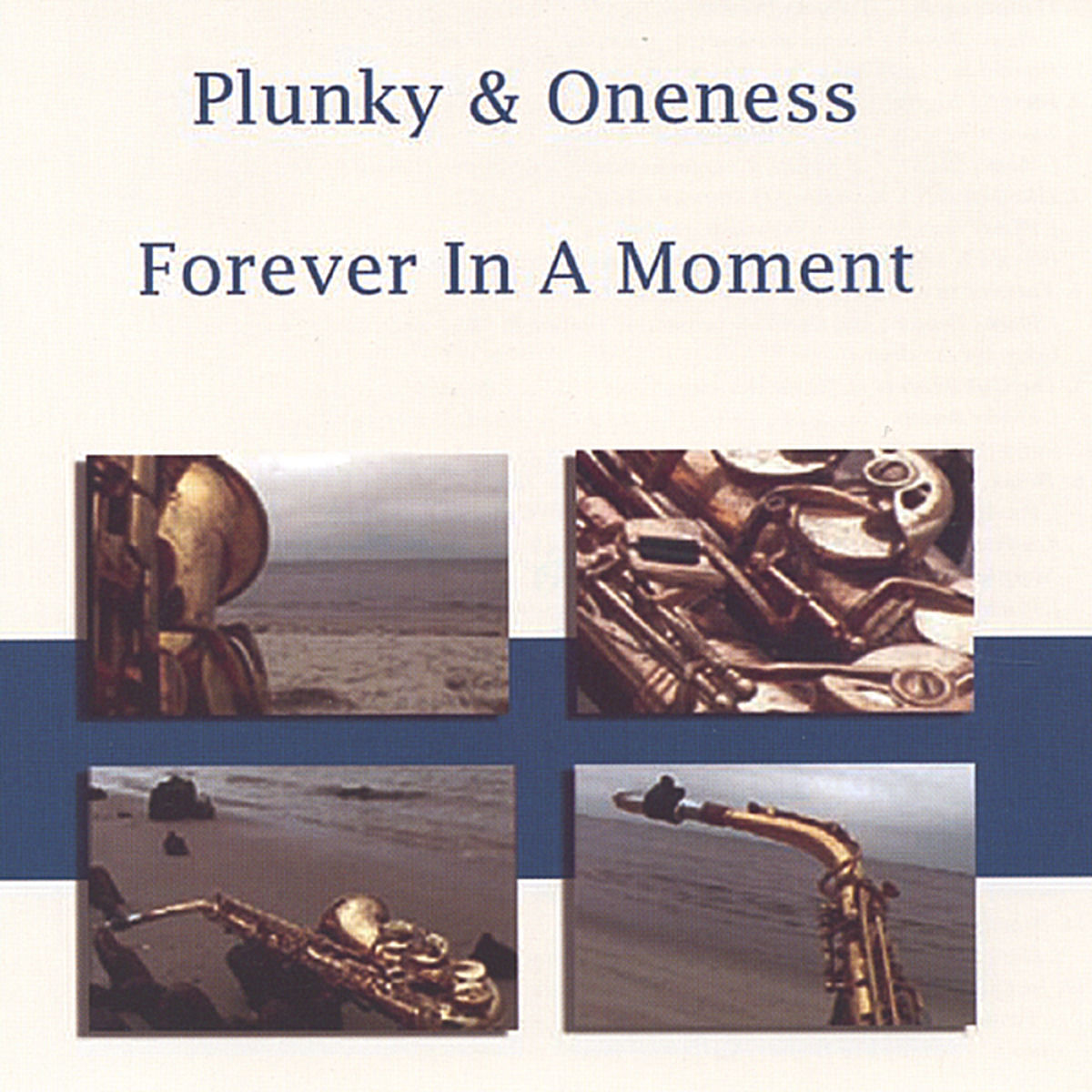 Album cover of Forever In A Moment