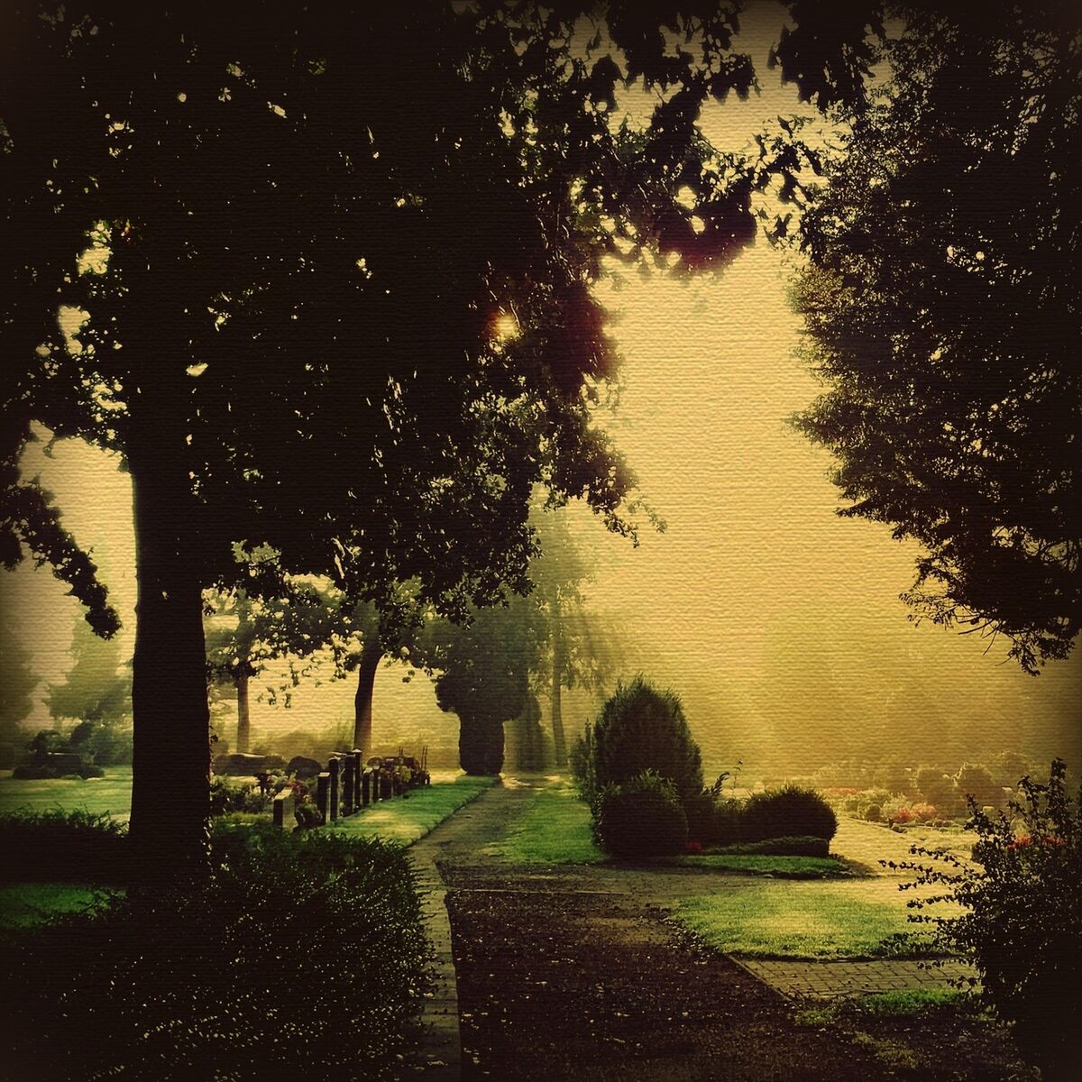 Album cover of Unexpected Arrival