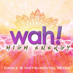 Cover of High Energy Dance & Instrumental Mixes Vol. 2