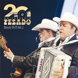 Cover of Directo 93-13 (En Vivo/20 Aniversario/Vol.2)
