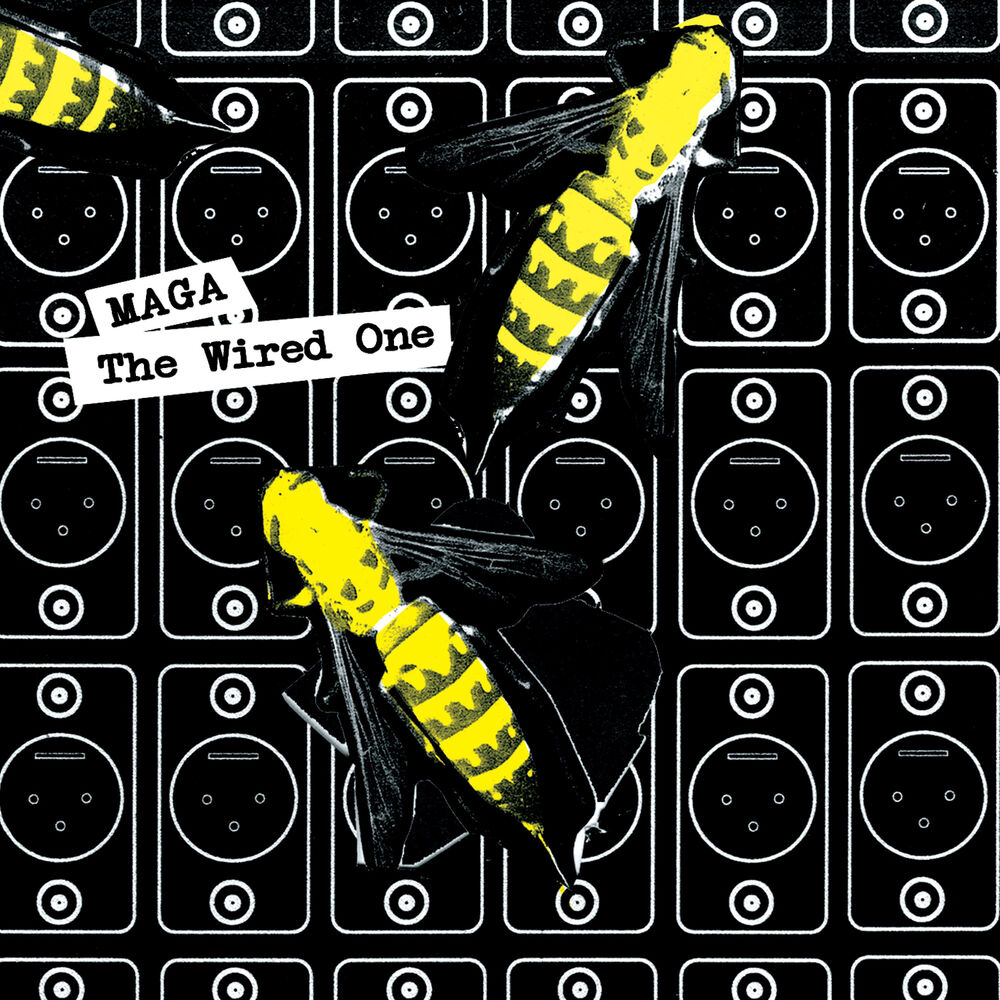 Picture of The Wired One