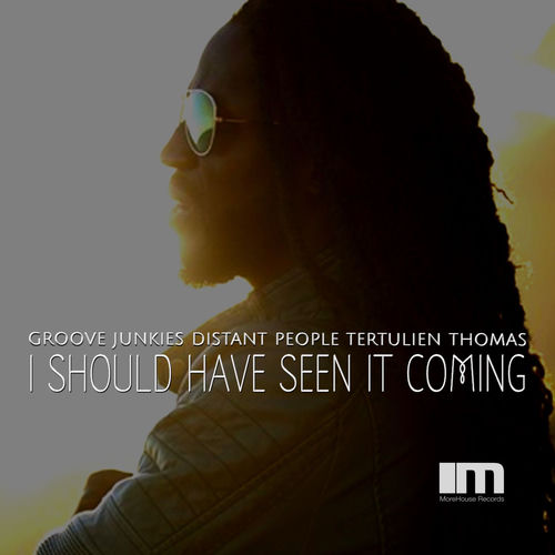 I Should Have Seen It Coming artwork