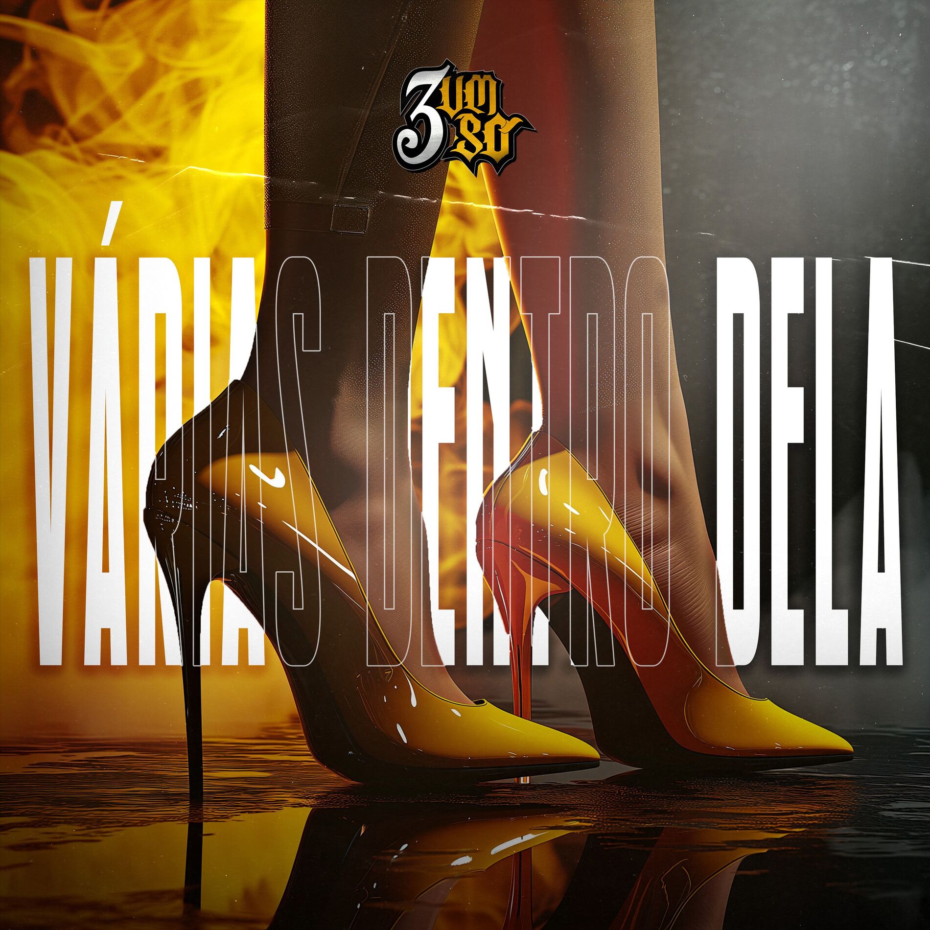 Album cover of Várias Dentro Dela