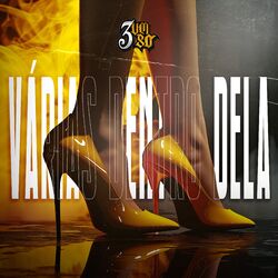 Cover of Várias Dentro Dela