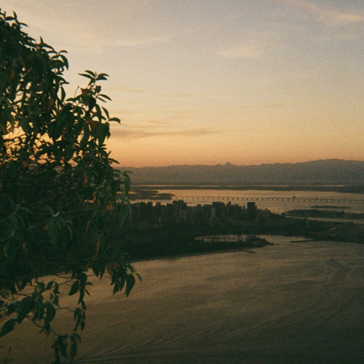 Album cover of saudade