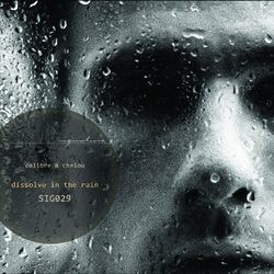 Cover of Dissolve In The Rain