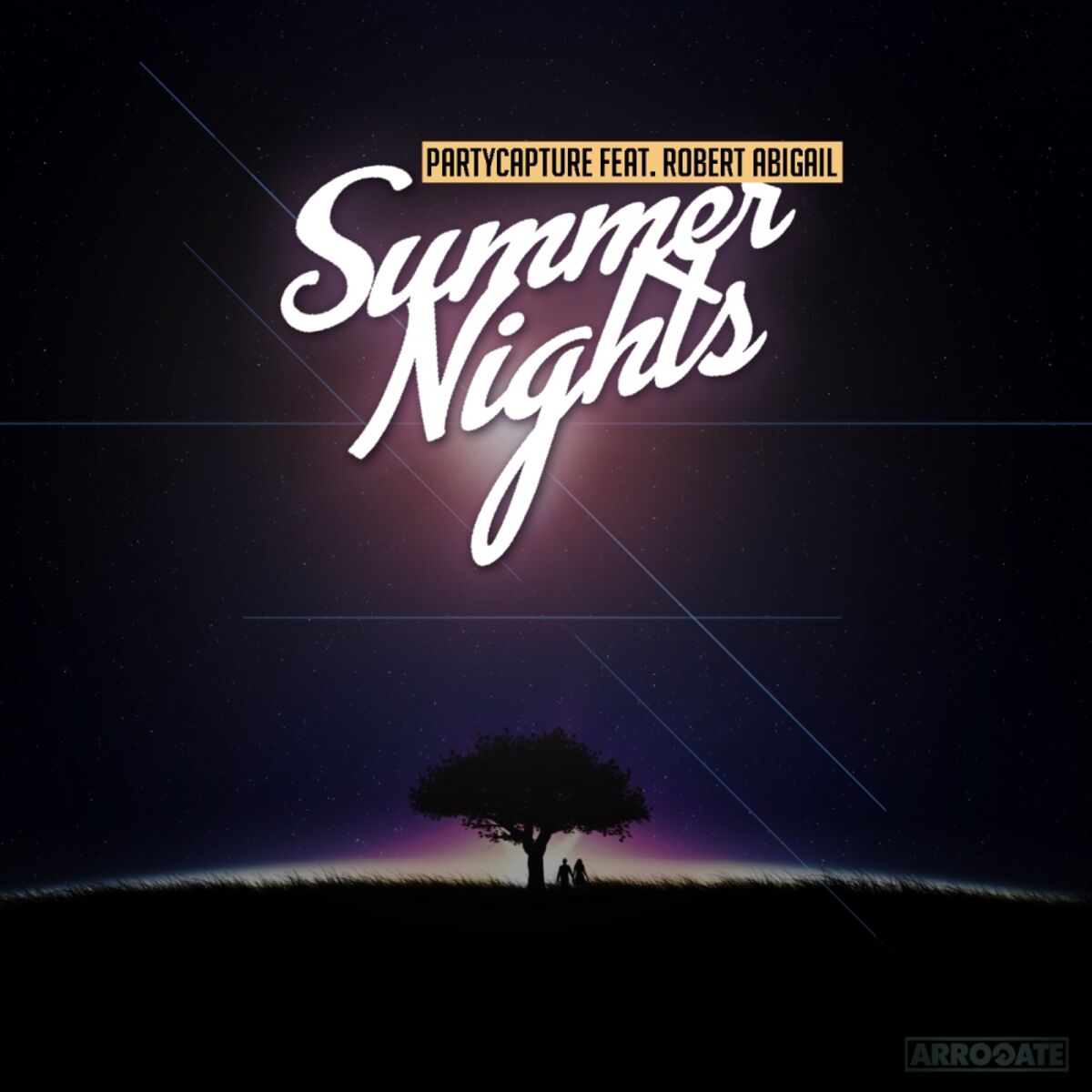Album cover of Summer Nights