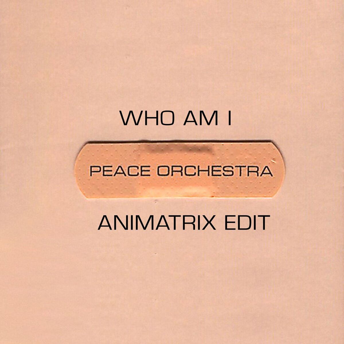 Album cover of Who Am I