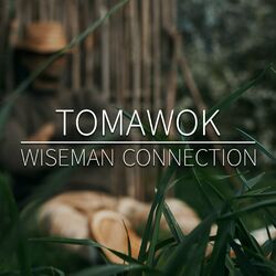 Cover of Wiseman Connection
