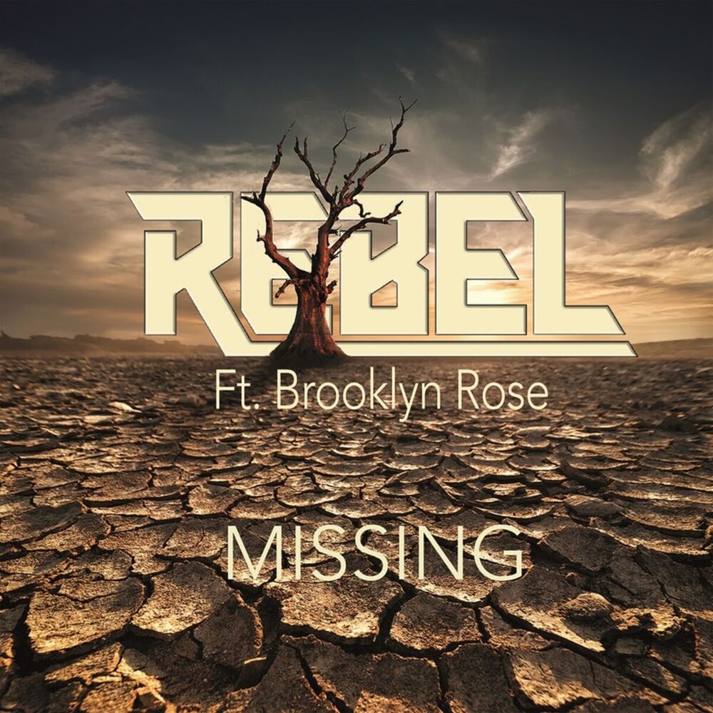 Picture of Missing