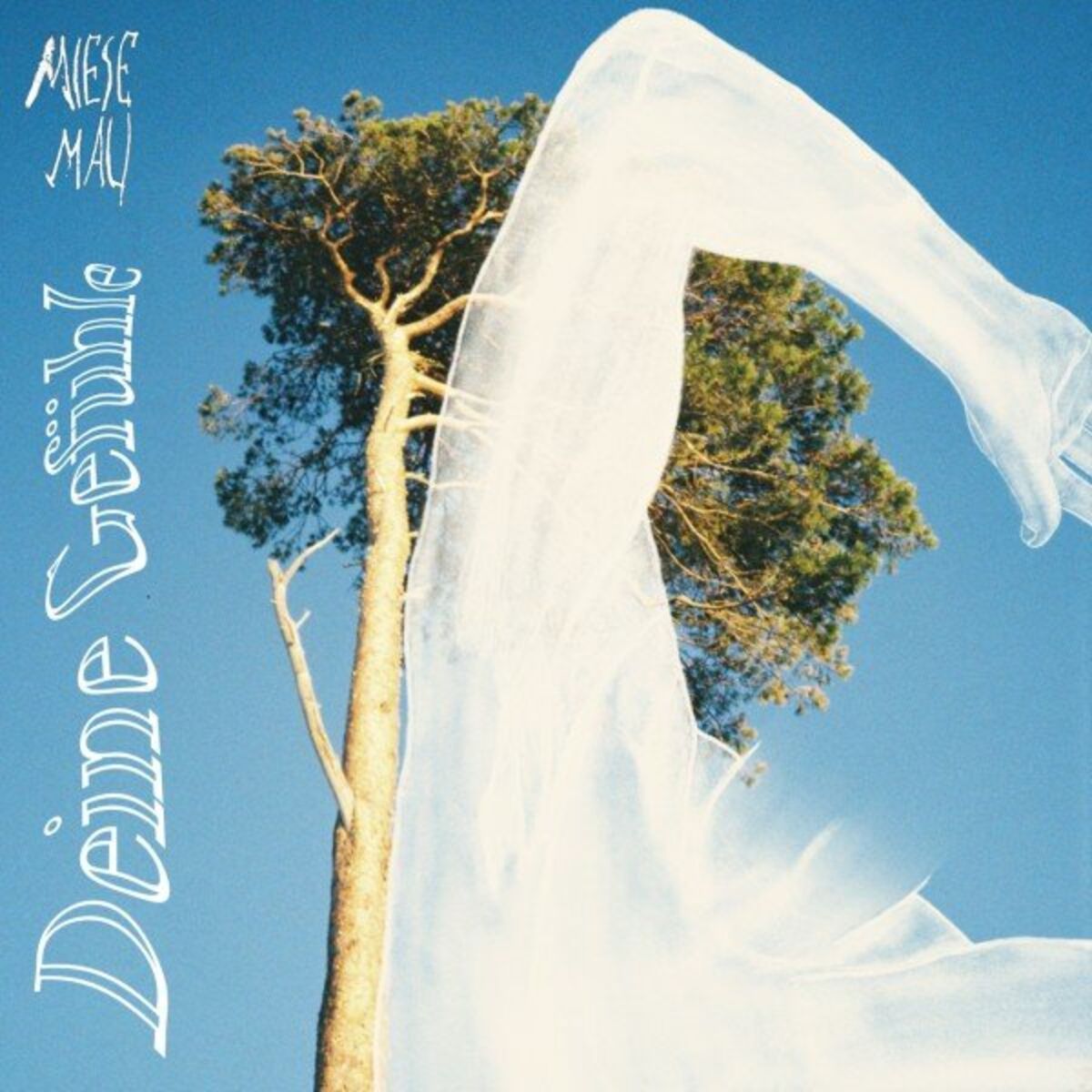 Album cover of Deine Gefühle