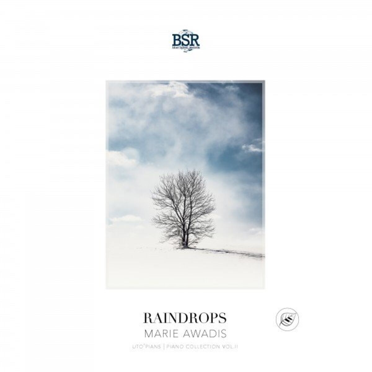 Album cover of Raindrops