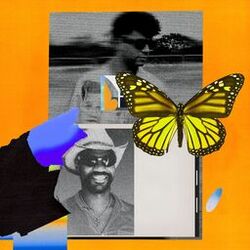 Butterflies (KILIMANJARO Remix)