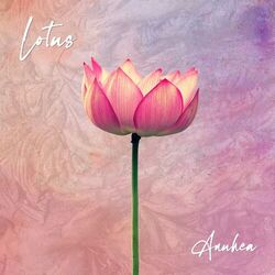 Cover of Lotus