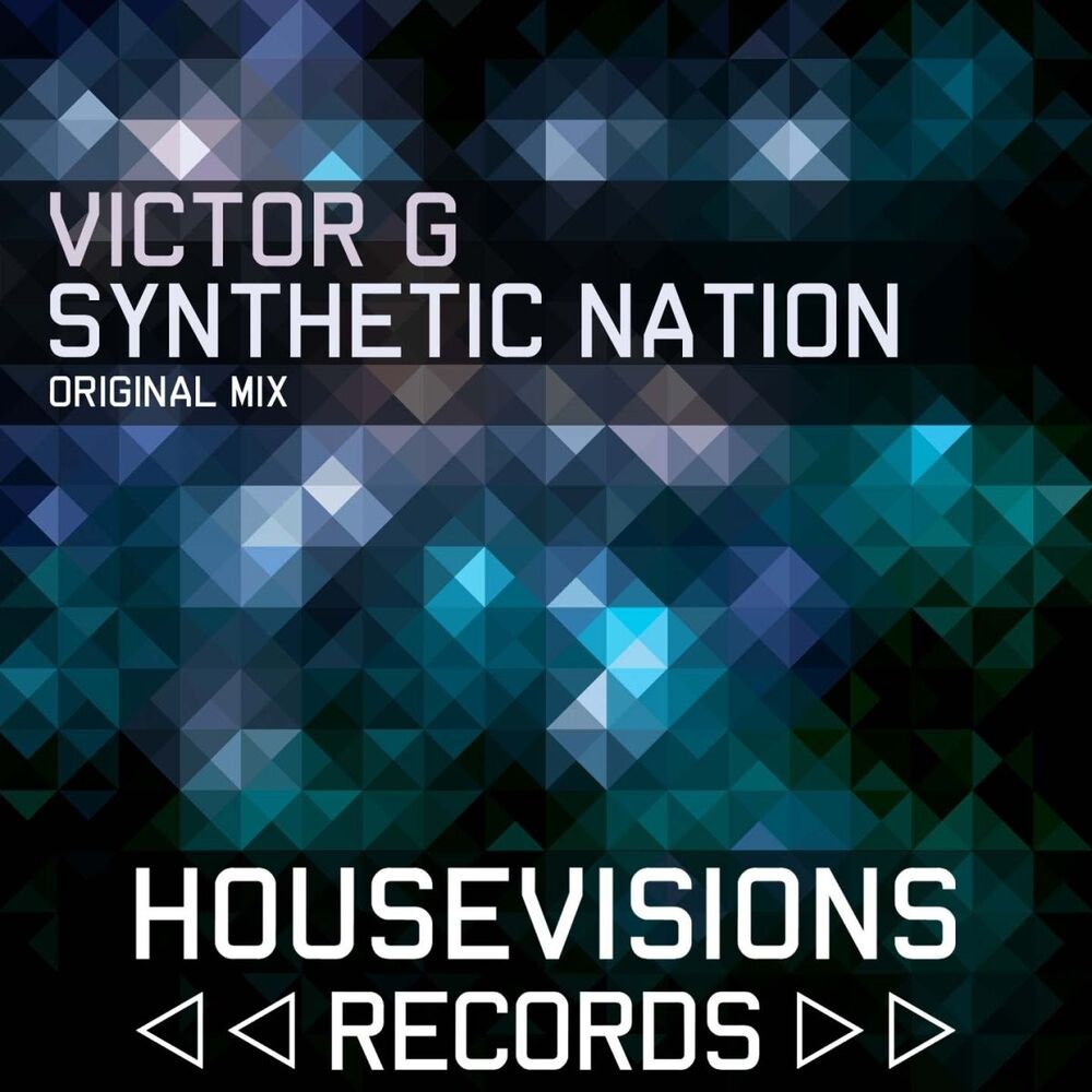 Picture of Synthetic Nation