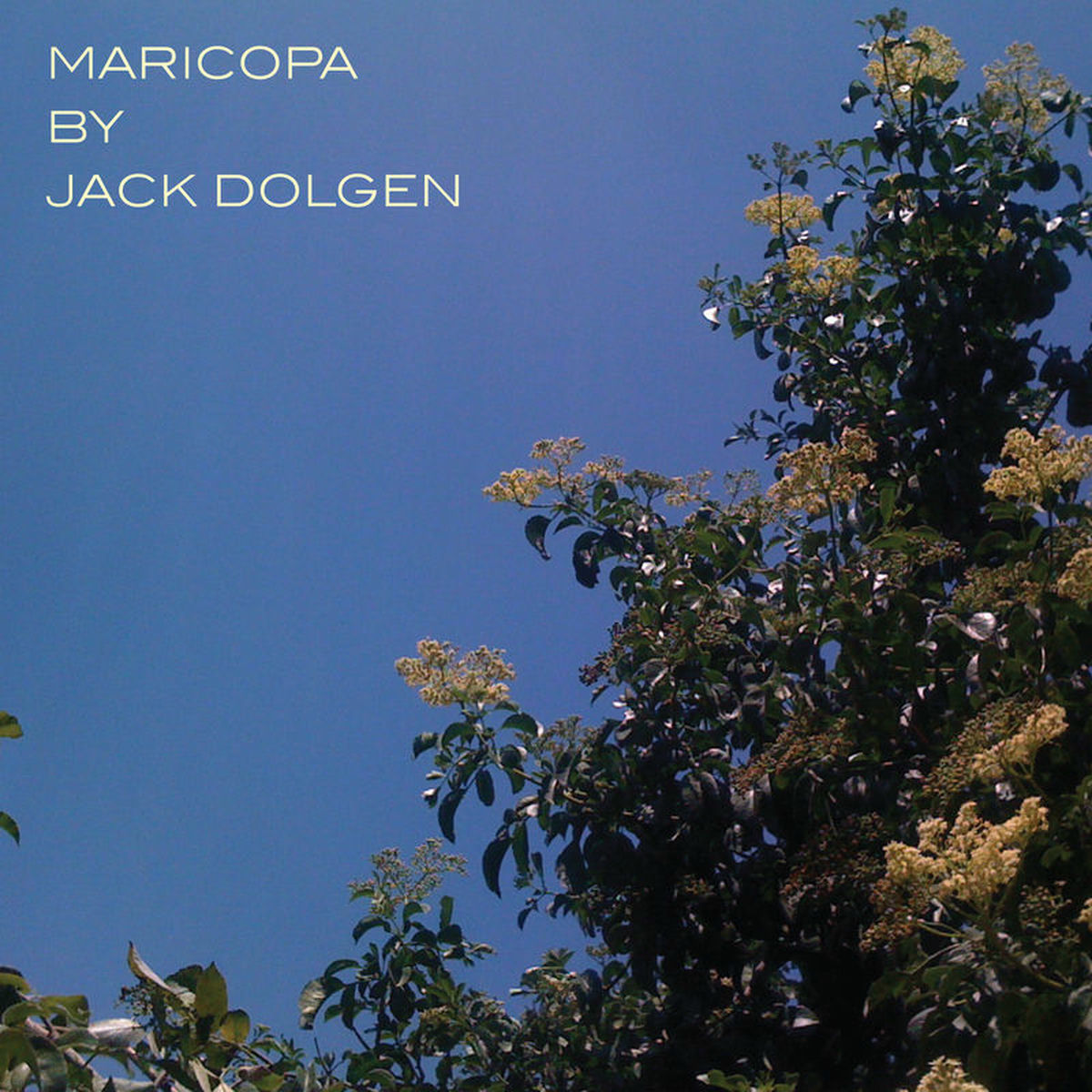 Album cover of Maricopa