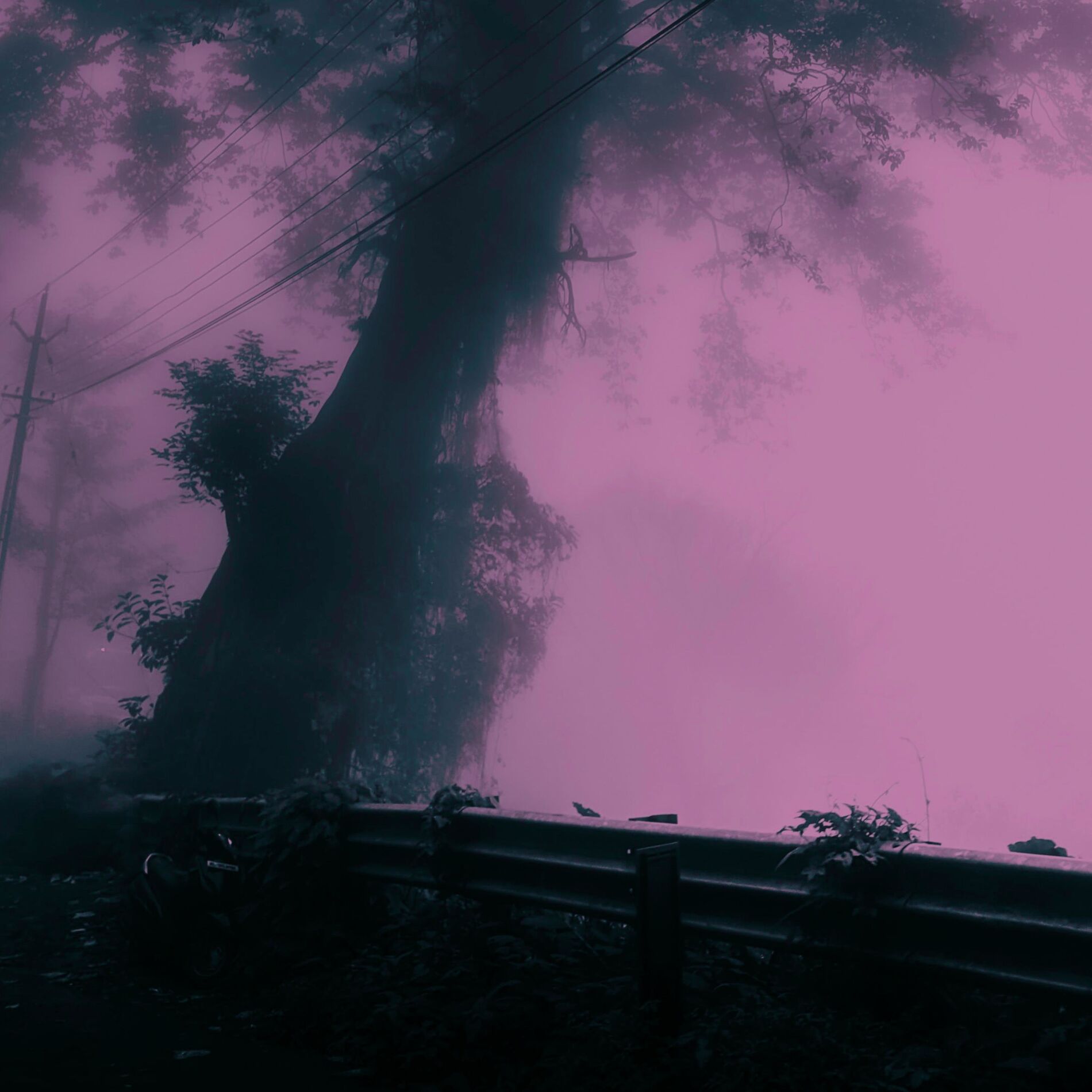Album cover of evanescent