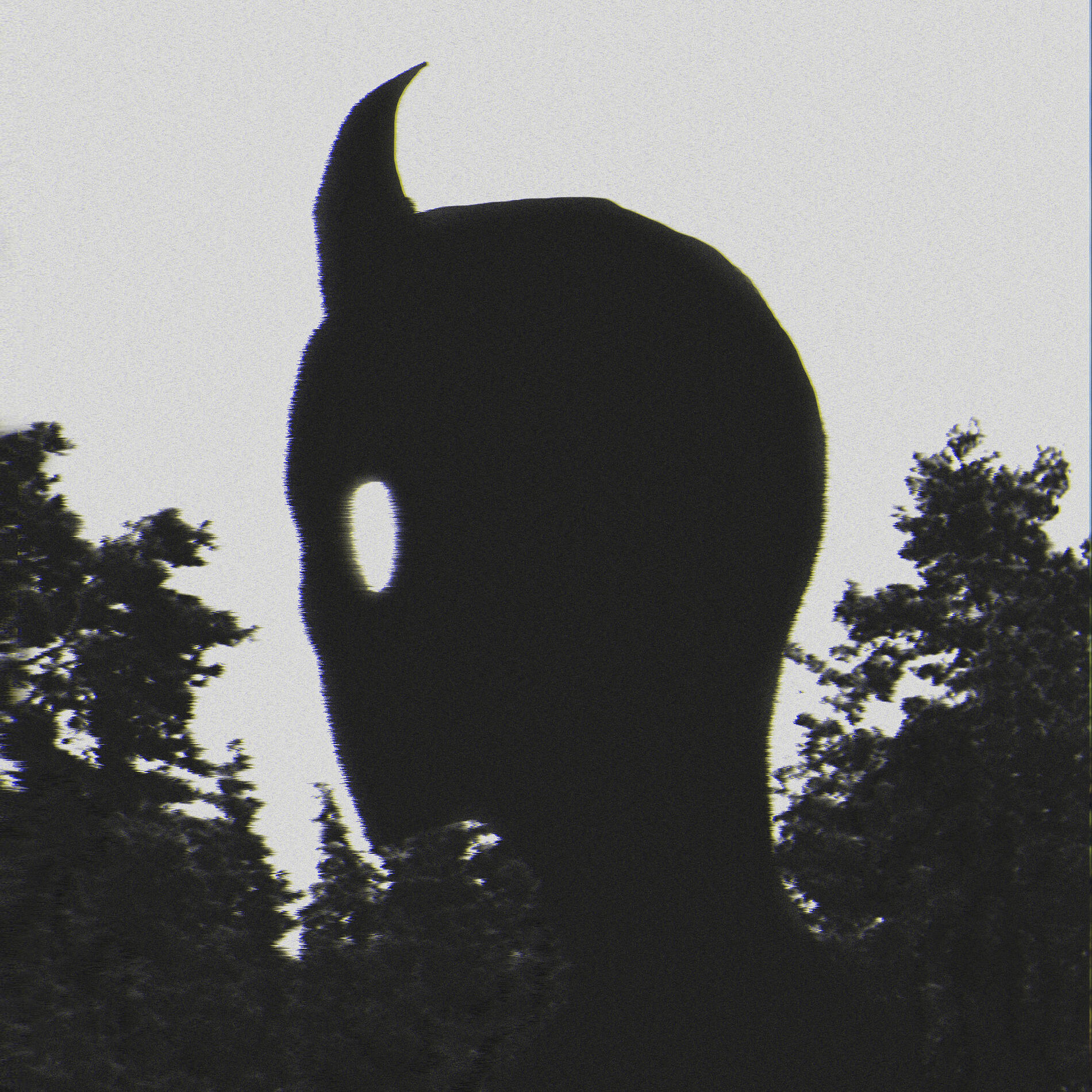 Album cover of Echoes