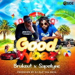 Cover of Good Vibes (feat. Supalyne)