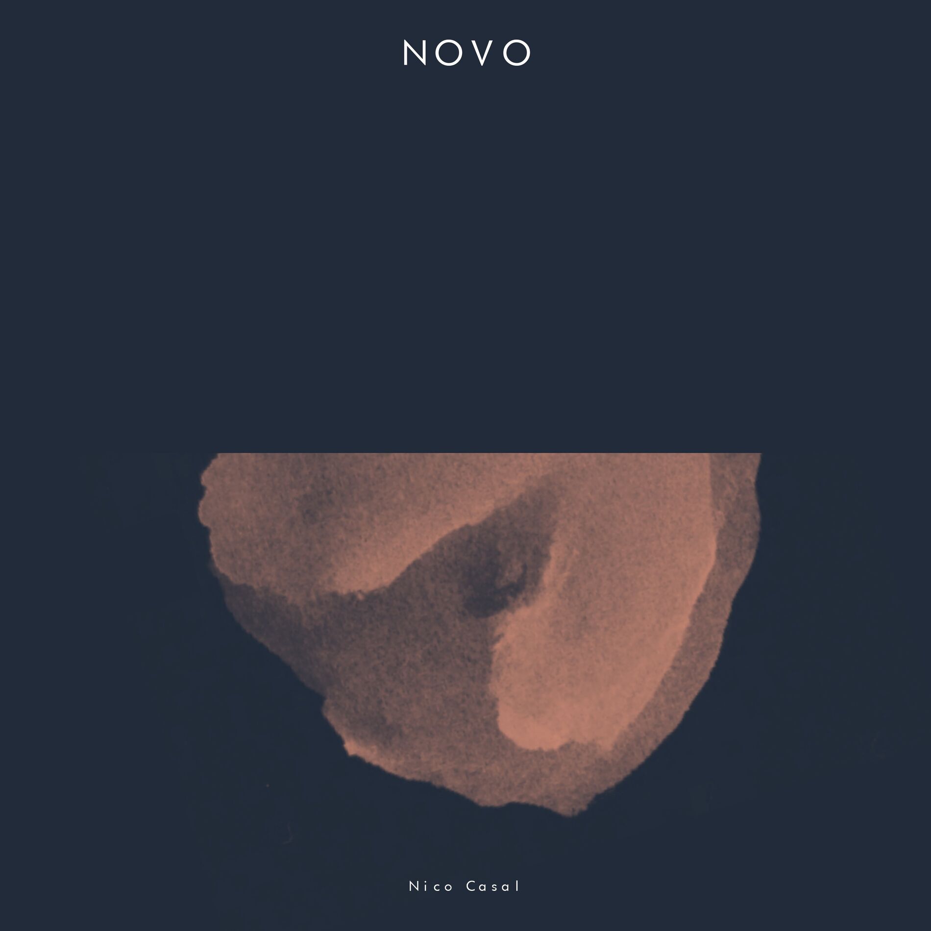 Album cover of Novo