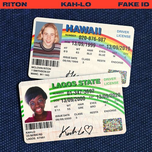 Fake ID (Coke & Rum Remix) by Riton - 125 BPM
