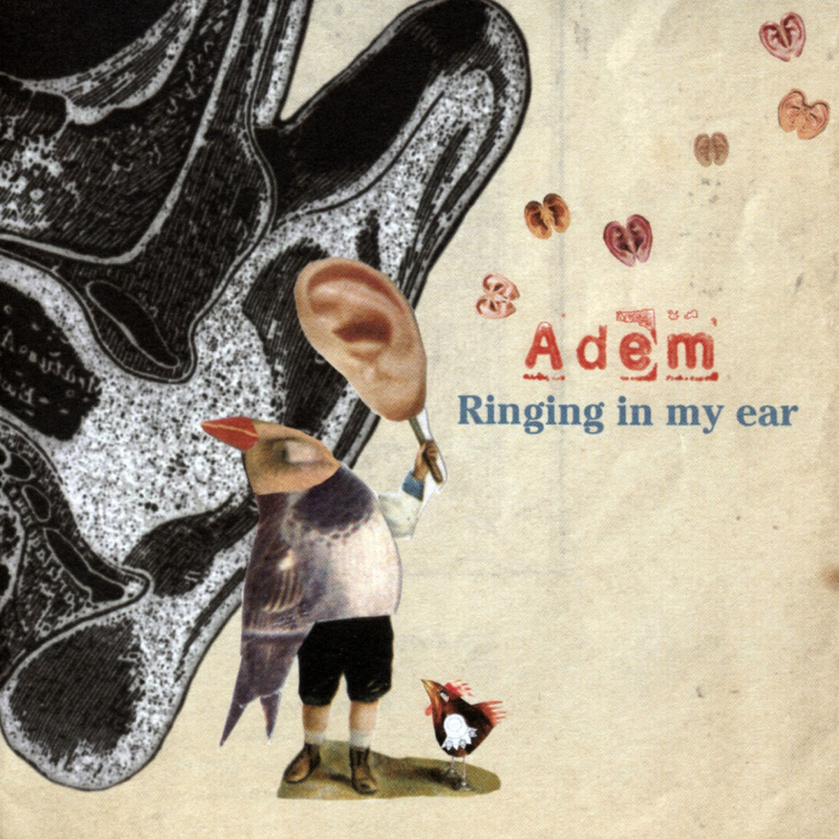 Album cover of Ringing In My Ear