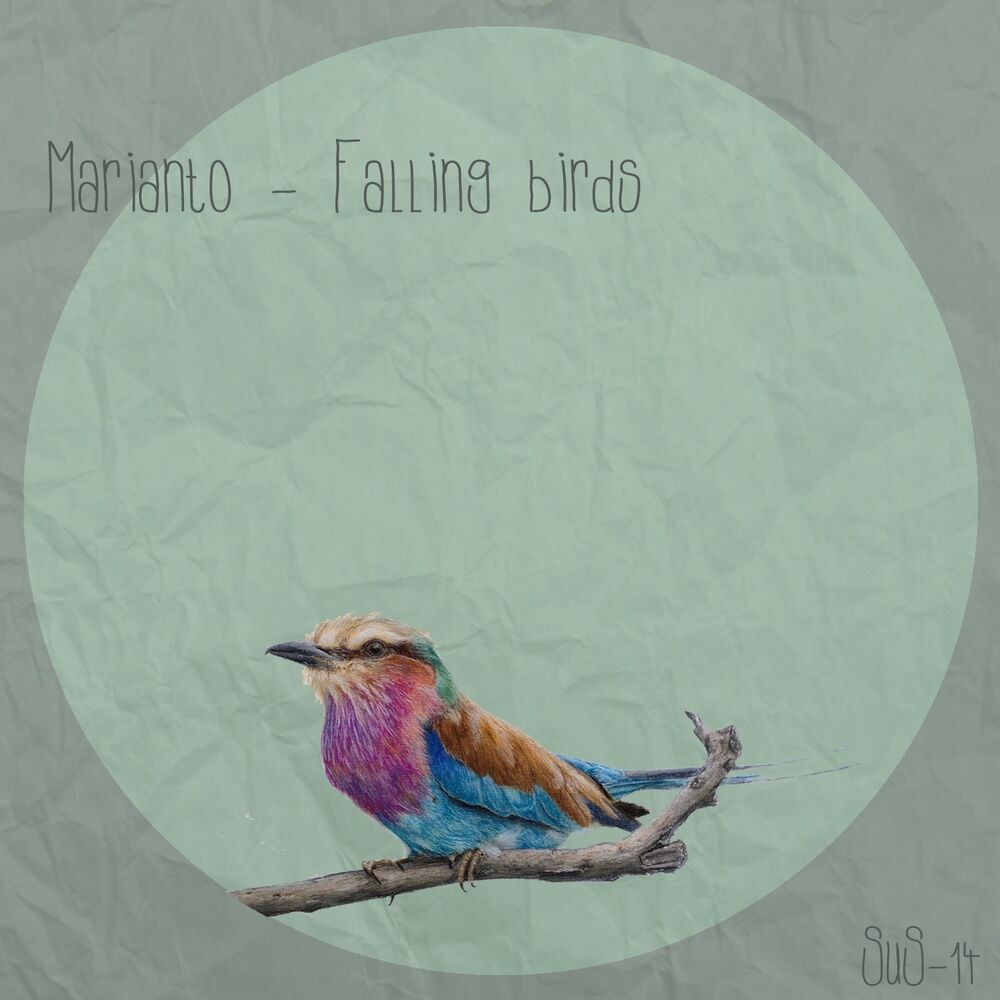 Picture of Falling Birds