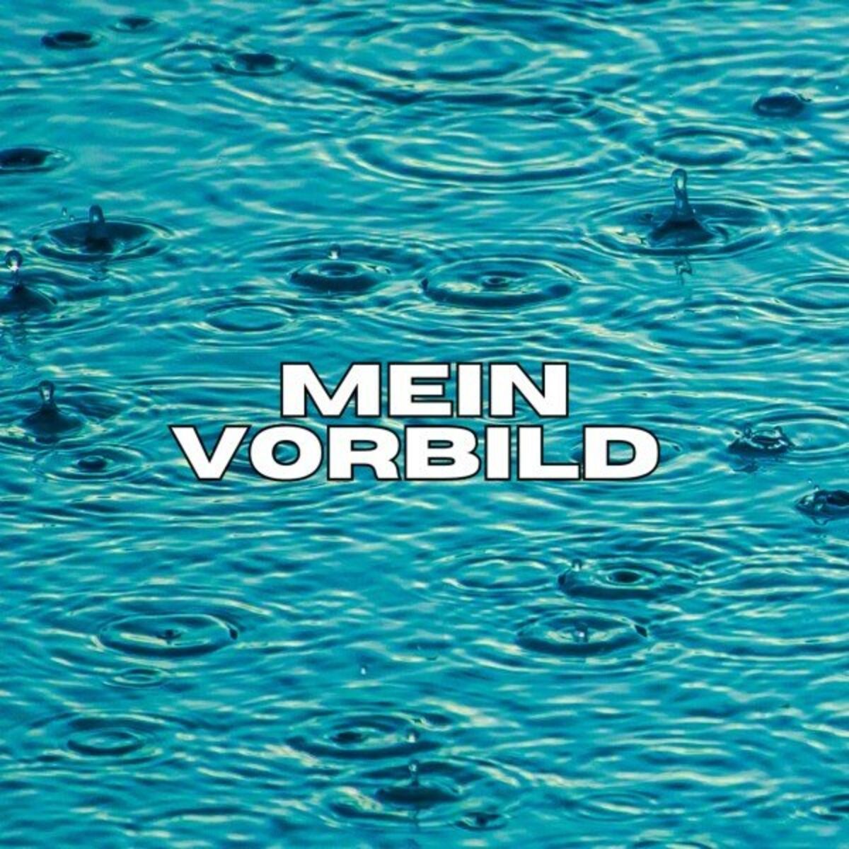 Album cover of Mein Vorbild (Pastiche/Remix/Mashup)