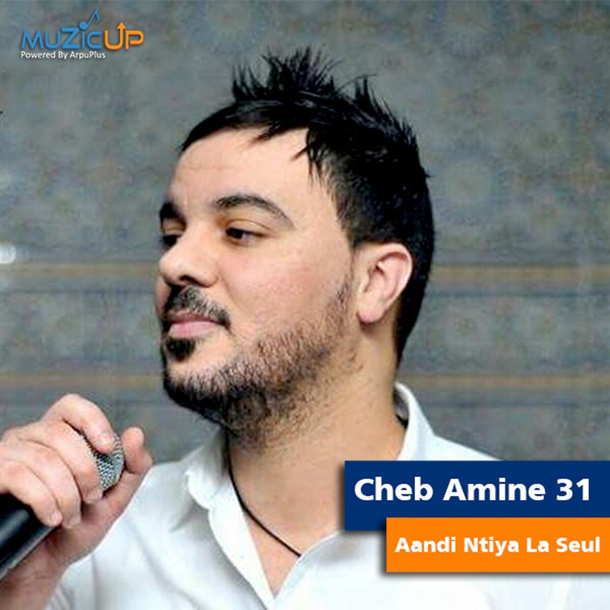 Album cover of Aandi Ntiya La Seul