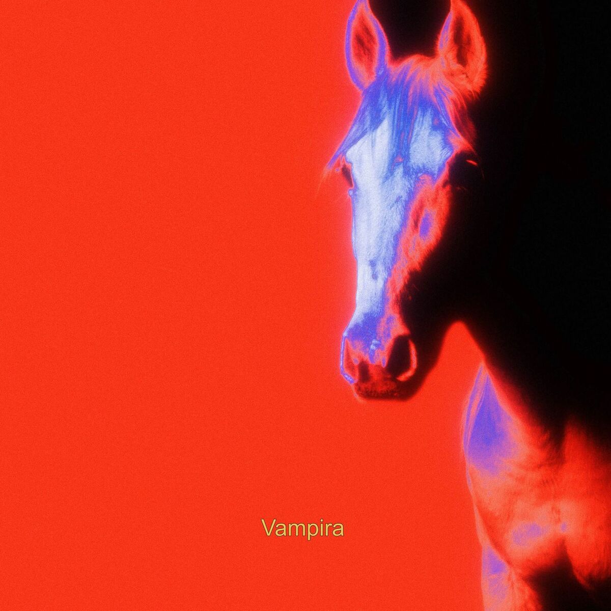 Album cover of Vampira