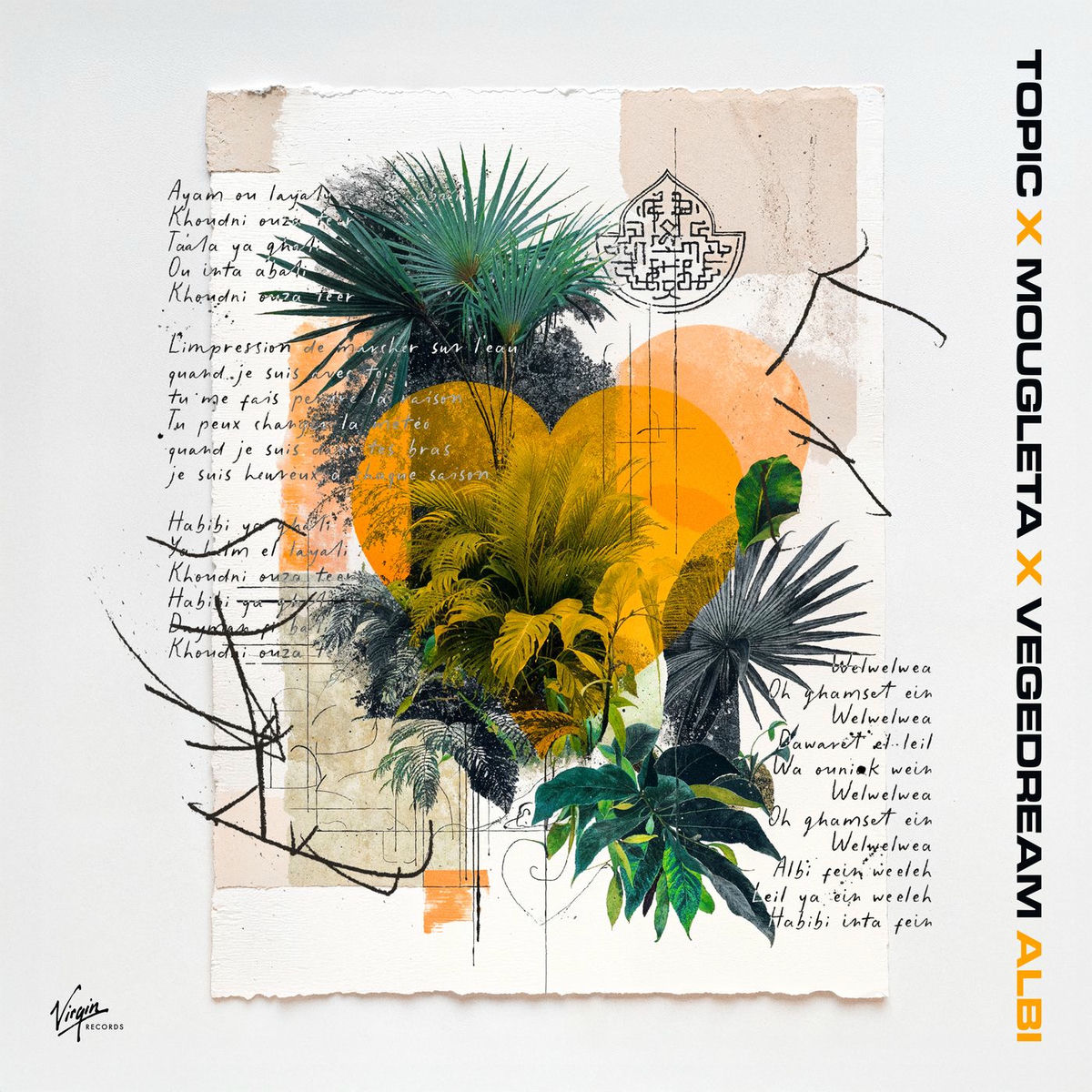 Album cover of Albi