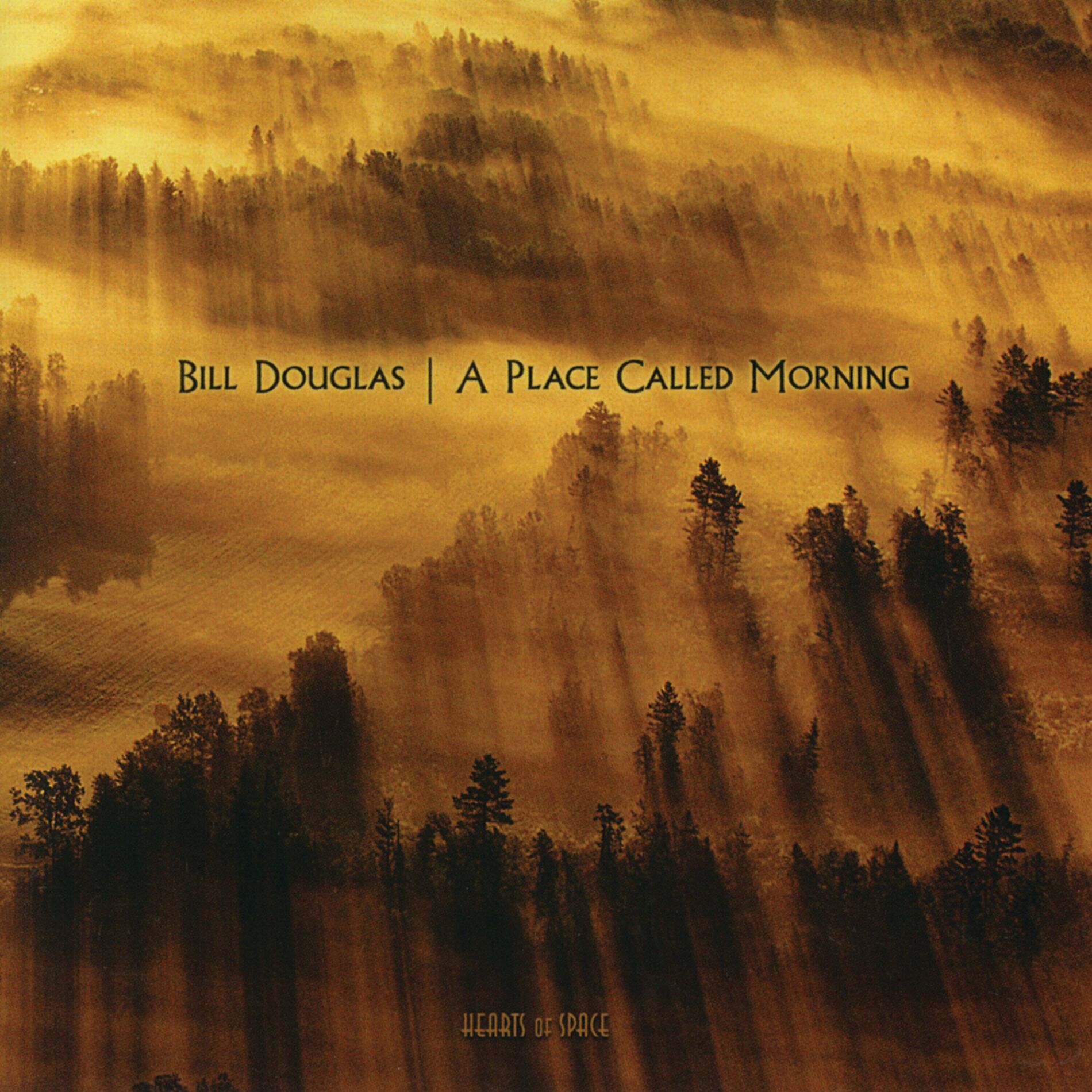 Album cover of A Place Called Morning