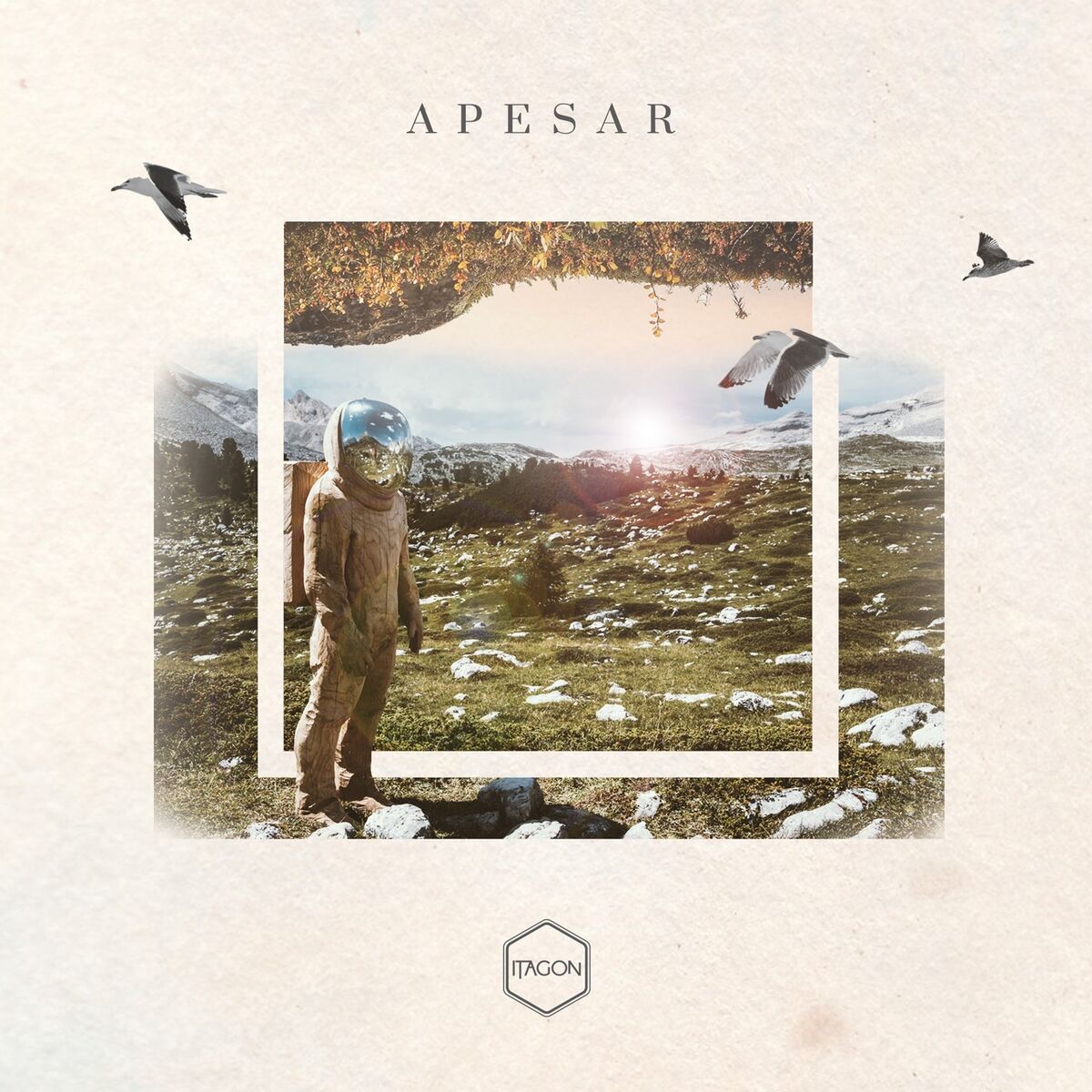 Album cover of Apesar