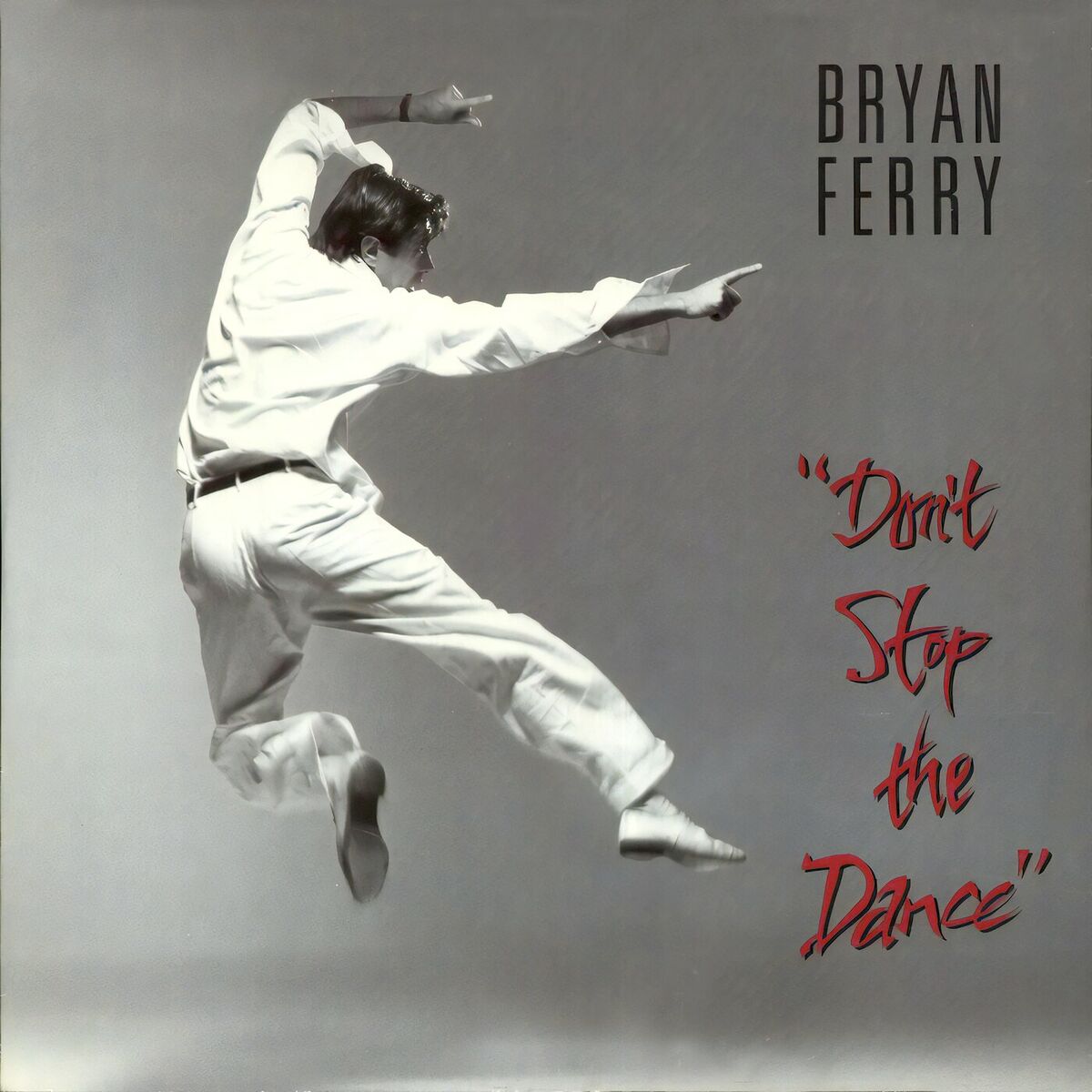 Album cover of Don't Stop The Dance