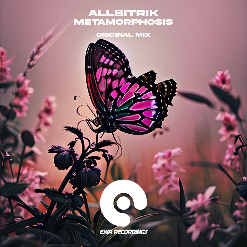 Picture of Metamorphosis