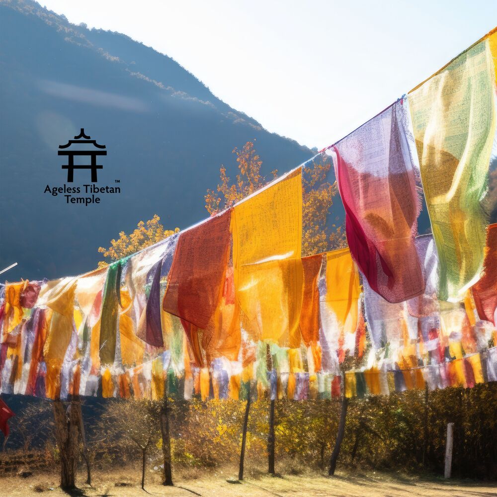 Picture of The Silent Wind of Lhasa